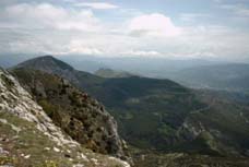 ane-depuis-mare.jpg (10158 octets)