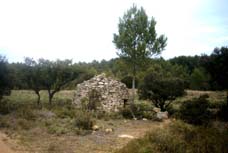 borie-cornillon.jpg (10836 octets)